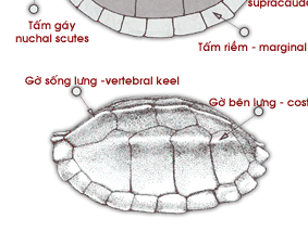 HÃ¬nh áº£nh cÃ³ liÃªn quan